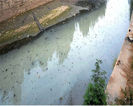 河道废水治理.jpg